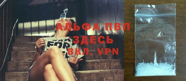 стаф Зеленокумск